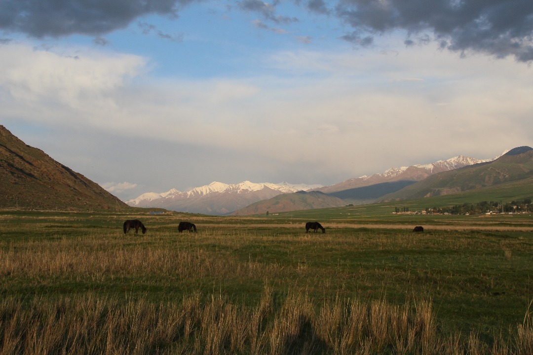 Тогуз-Булак