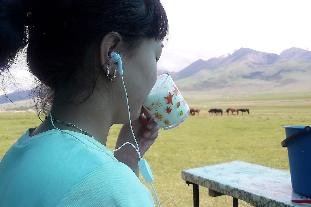 Кумысолечение на Айдын-Кол