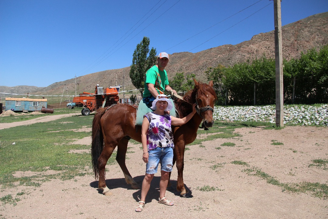 Кымызолечение