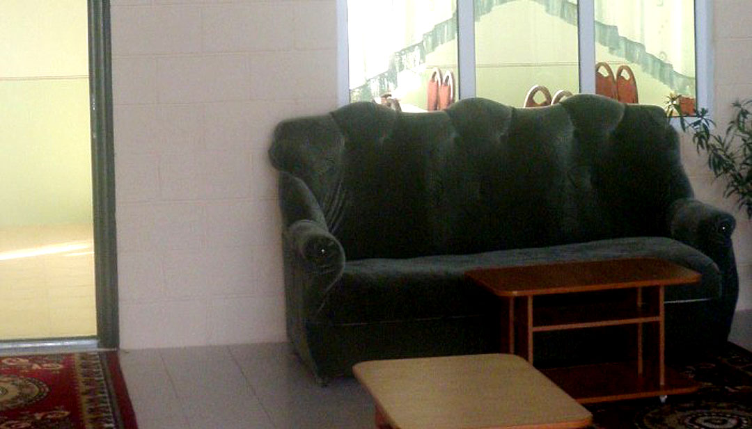 Бээнин суту менен дарылануу